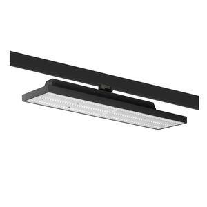 MEDA LIGHT